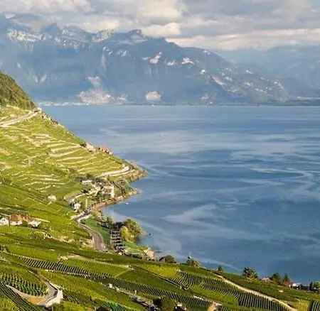 Rose In The Center Of By Guestlee Villa Montreux