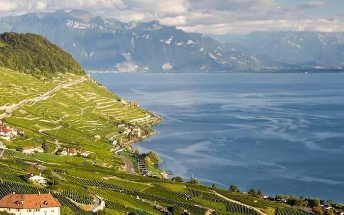 Rose In The Center Of By Guestlee Villa Montreux