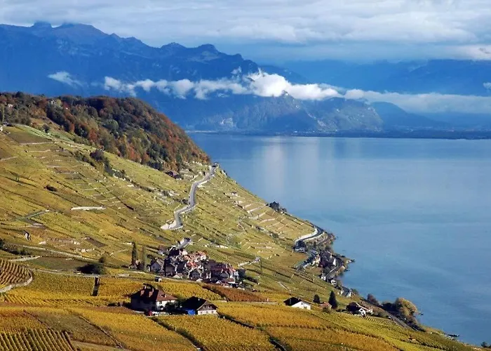 Rose In The Center Of By Guestlee Villa Montreux