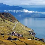 Rose In The Center Of By Guestlee Villa Montreux