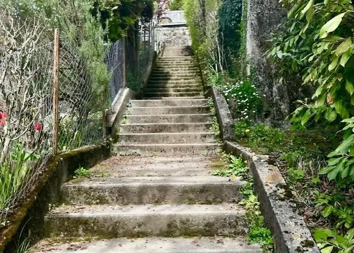 Rose In The Center Of By Guestlee *